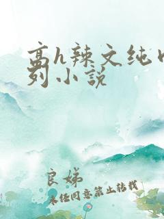 高h辣文纯肉系列小说