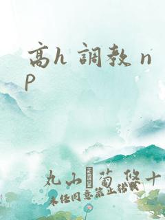 高h 调教 np