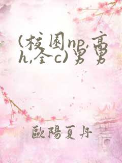 (校园np,高h,全c)男男