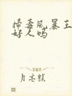 扫毒风暴王奇是好人吗