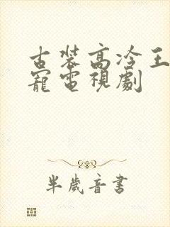 古装高冷王爷甜宠电视剧