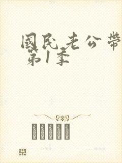 国民老公带回家 第1季