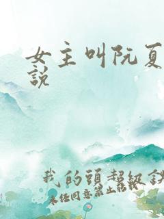 女主叫阮夏的小说