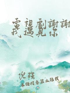 电视剧谢谢你让我遇见你