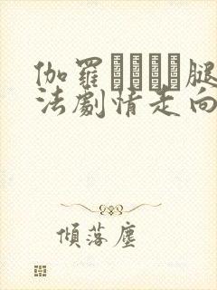 伽罗ちゃんが腿法剧情走向