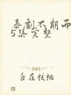 泰剧不期而爱15集完整