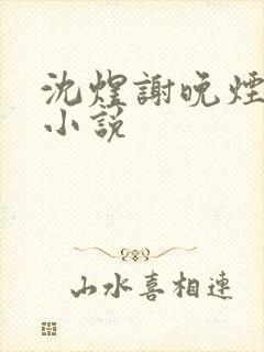 沈煜谢晚烟全文小说