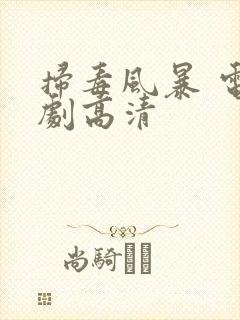 扫毒风暴 电视剧高清