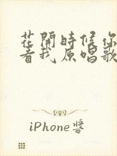 花开时候你就来看我原唱歌词