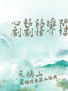 心动的瞬间电视剧剧情介绍