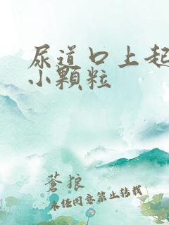 尿道口上起红色小颗粒