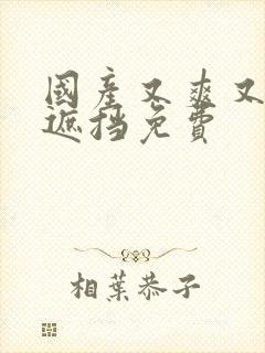 国产又爽又黄无遮挡免费