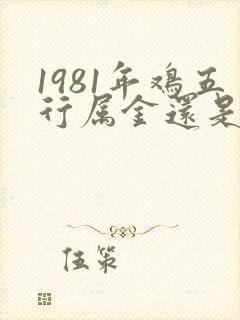 1981年鸡五行属金还是属木