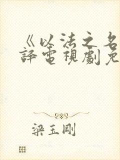 《以法之名》张译电视剧免费观看预告片