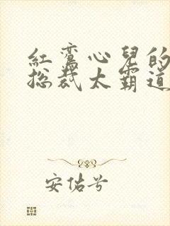 红鸾心儿的闪婚总裁太霸道