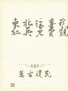 东北往事我叫赵红兵免费观看