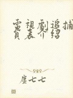 电视剧追捕者演员表介绍