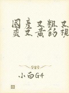 国产又粗又猛又爽又黄的视频久