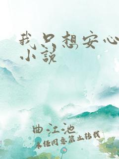 我只想安心修仙小说