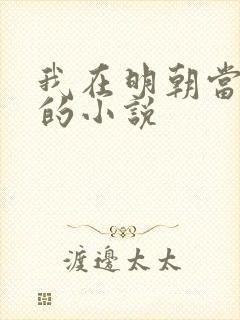 我在明朝当暴君的小说