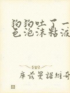 狗狗吐了一滩白色泡沫粘液还拉稀