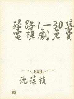 归路1—30集电视剧免费观看下载