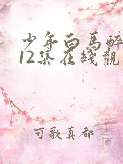 少年白马醉春风12集在线观看