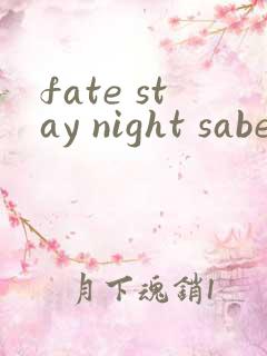 fate stay night saber线(2006)