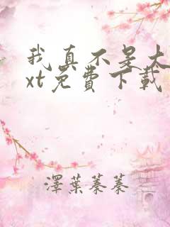 我真不是大佬txt免费下载