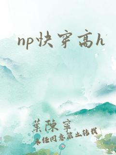np快穿高h