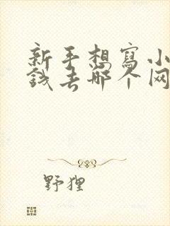 新手想写小说赚钱去哪个网站