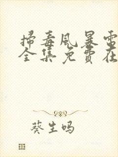 扫毒风暴电视剧全集免费在线观看