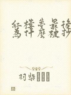 红楼梦最后贾府为什么被抄家