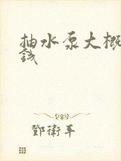 抽水泵大概多少钱