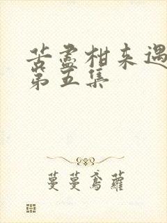 苦尽柑来遇见你第五集