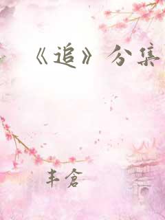 《追》分集剧情