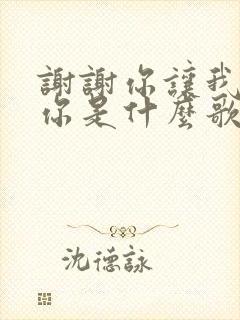 谢谢你让我遇到你是什么歌曲