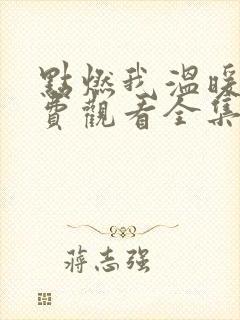 点燃我温暖你免费观看全集完整版