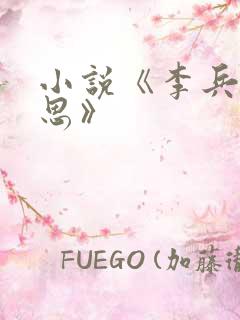 小说《李兵与沈思》