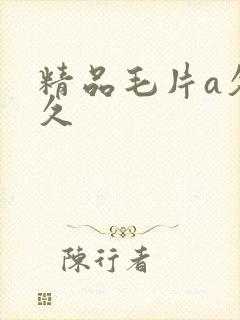 精品毛片a久久久
