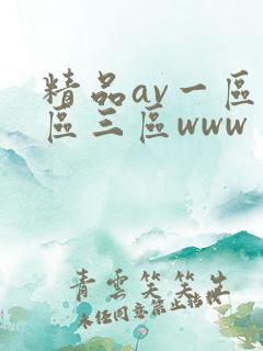 精品av一区二区三区www