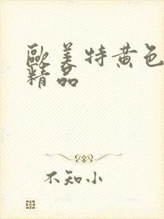 欧美特黄色日韩精品