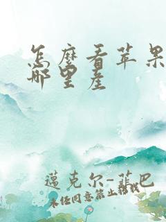 怎么看苹果手机哪里产