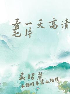 看一天高清免费毛片