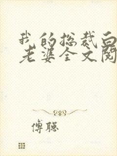 我的总裁白富美老婆全文阅读免费