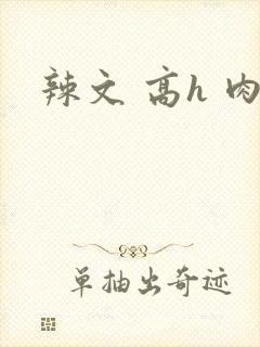辣文 高h 肉
