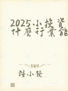 2025小投资什么行业能赚到钱