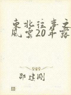 东北往事之黑道风云20年露点