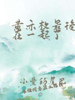 黄亦枚最后和谁在一起了