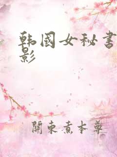 韩国女秘书的电影